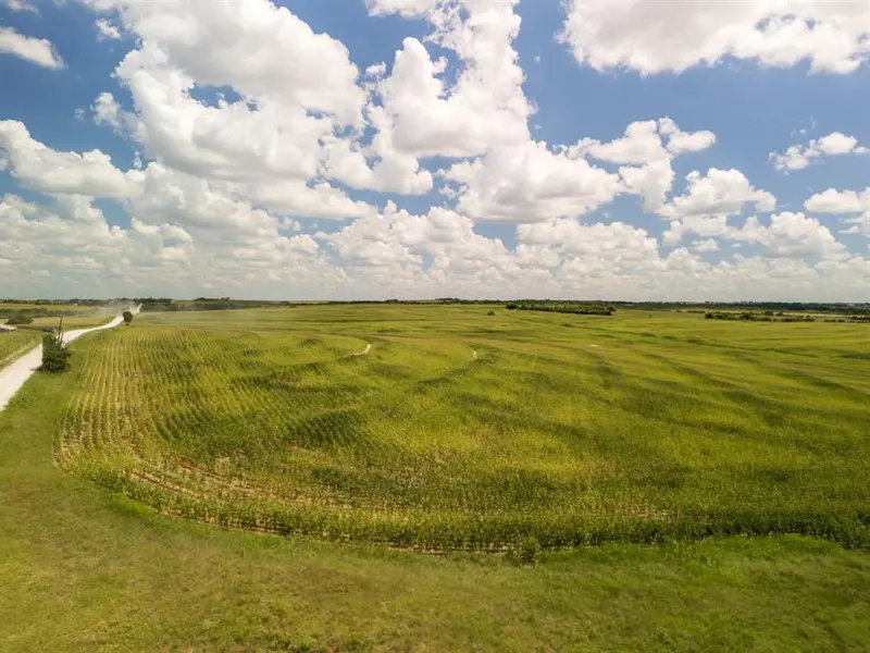 11 Acres | TBD County Rd 3150, Hubbard, TX 76648