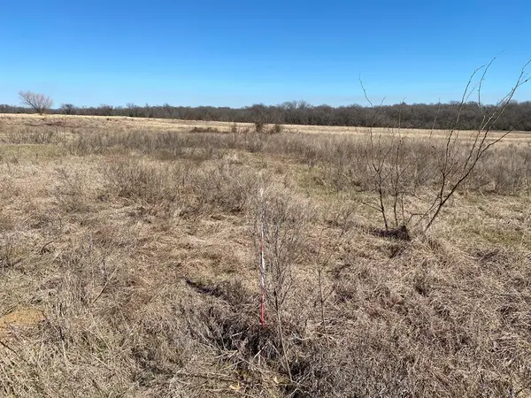 Lot 3 SE CR 2220, Corsicana, TX 75109