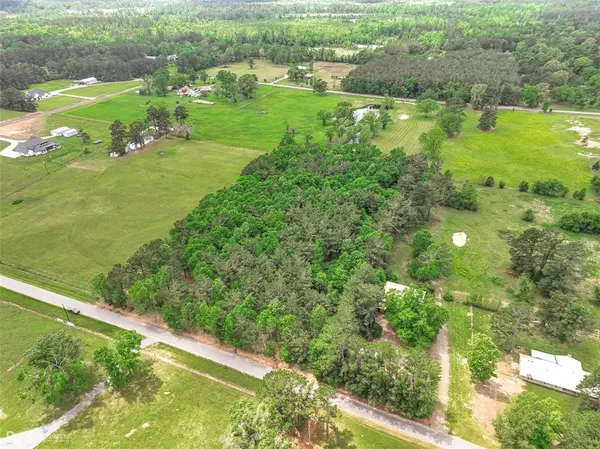 0 Palamino Drive, Grand Cane, LA 71032