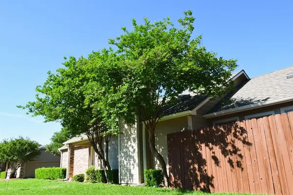 1800 Maplewood Trail, Colleyville, TX 76034