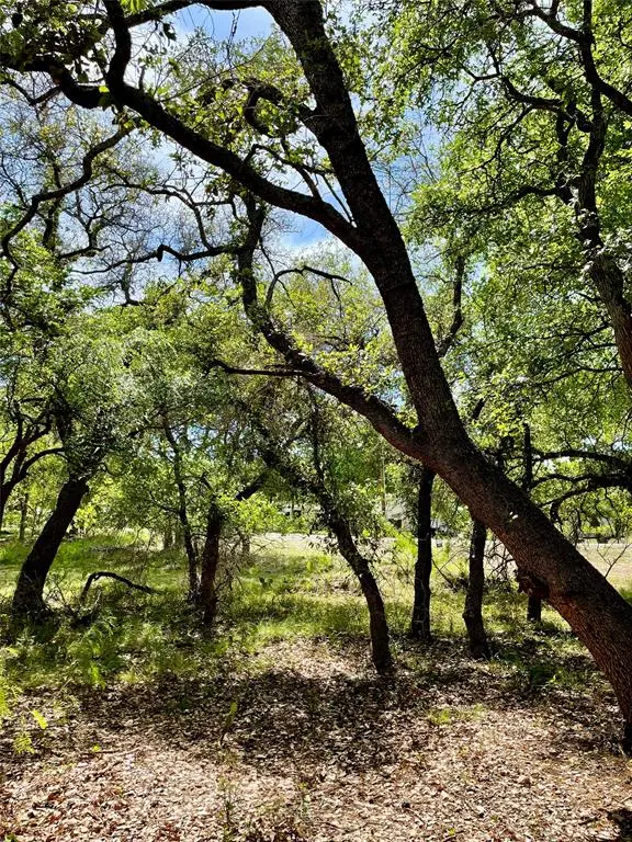 TBD (Lots 785, 786) Oak Point Drive, May, TX 76857