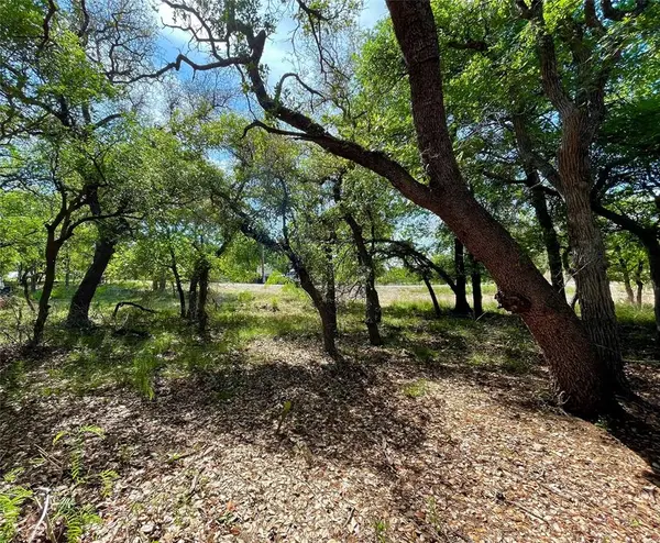 TBD (Lots 785, 786) Oak Point Drive, May, TX 76857