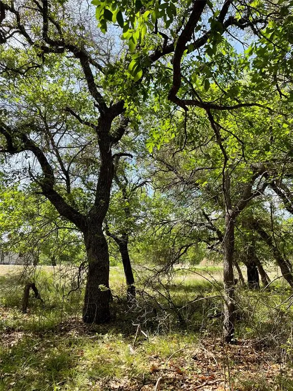 TBD (Lots 785, 786) Oak Point Drive, May, TX 76857