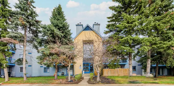 95 Trailwood DR #1033, Mississauga, ON L4Z 3L2