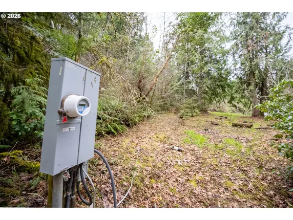 83715 PENINSULA RD, Fall Creek, OR 97438