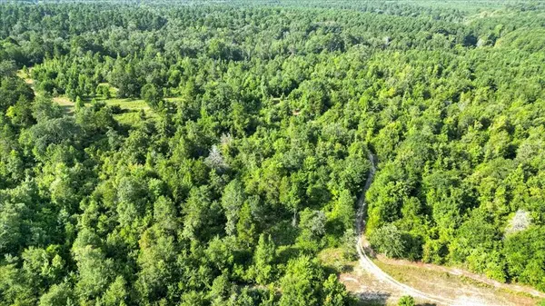 TBD S Live Oak, Gilmer, TX 75644