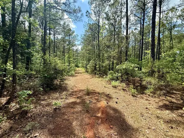 130 Doyston, Simsboro, LA 71275