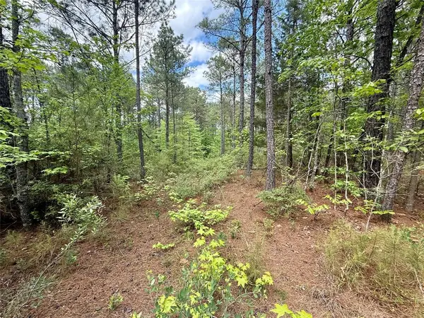 130 Doyston, Simsboro, LA 71275