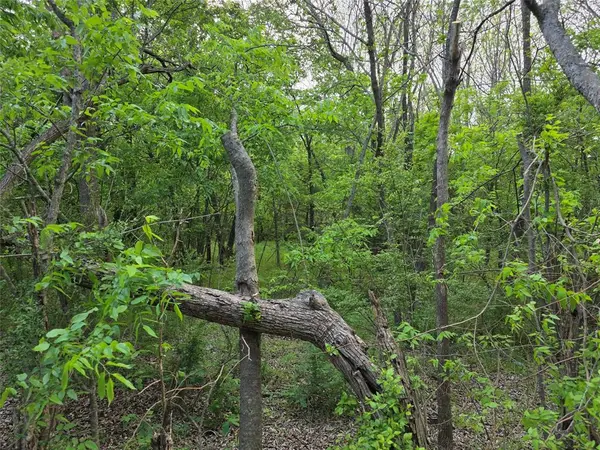 1202 Rosemary Street, Greenville, TX 75401