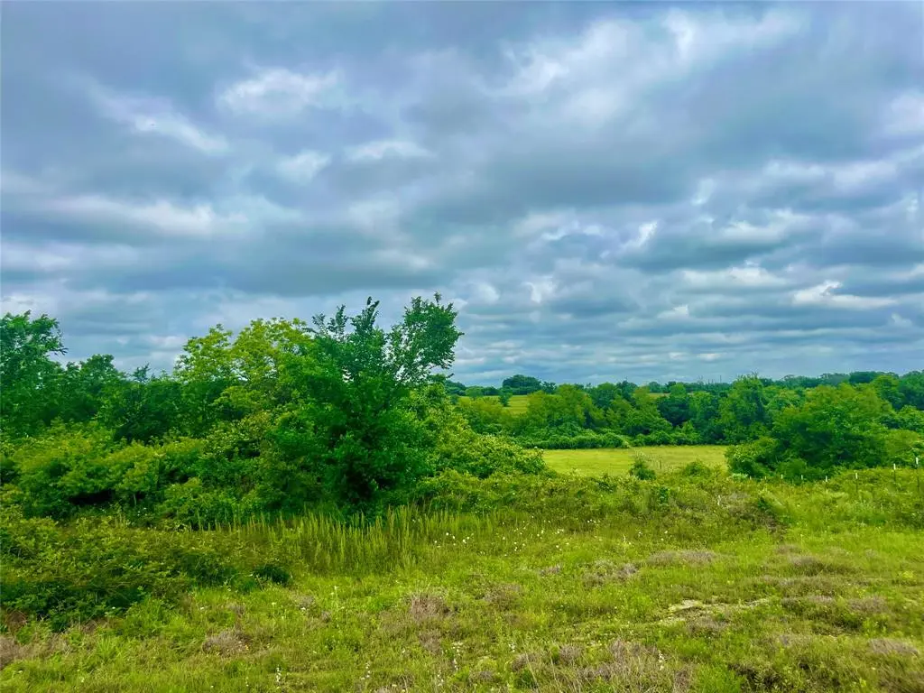 Lot 8 Clare Rd, Poolville, TX 76487