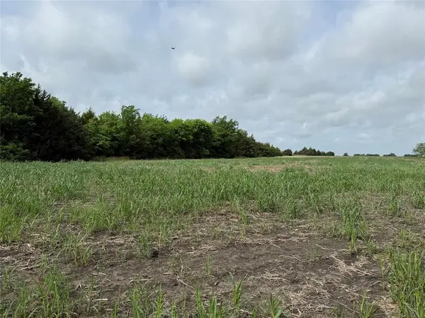 TBD CR 23300, Roxton, TX 75477