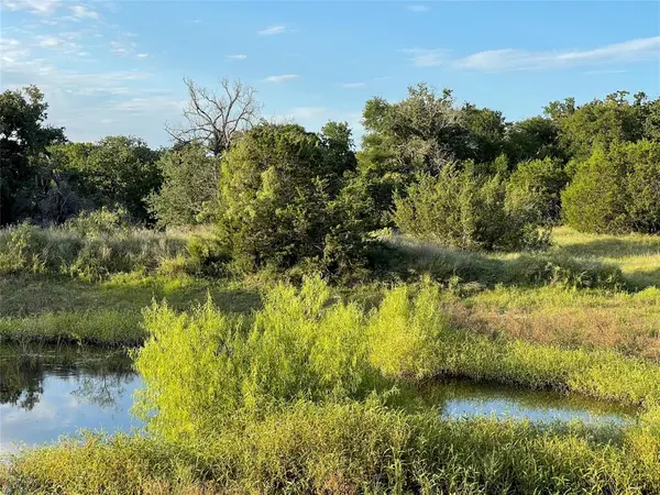 Lot 13 CR 127, Carlton, TX 76436