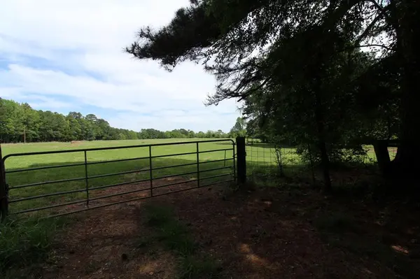 0 Eqypt Hill Road, Plain Dealing, LA 71064