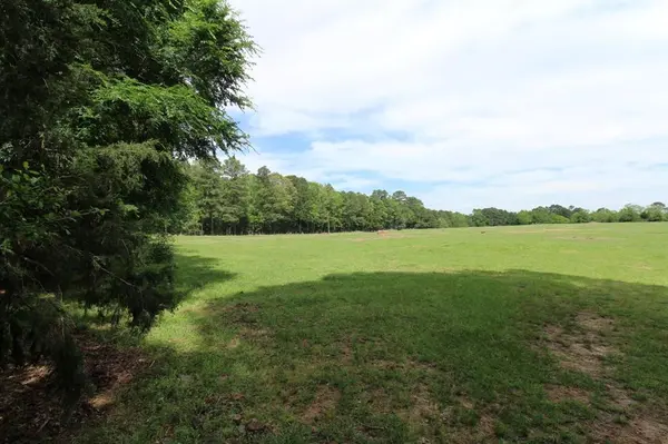 0 Eqypt Hill Road, Plain Dealing, LA 71064