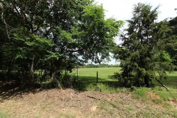 0 Eqypt Hill Road, Plain Dealing, LA 71064