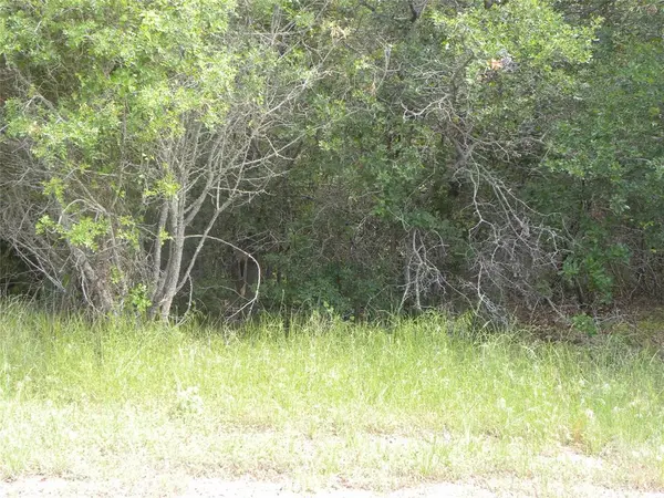 1303 Ash Court, Whitney, TX 76692