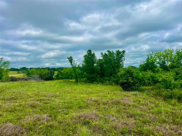 Lot 8 Clare Rd, Poolville, TX 76487