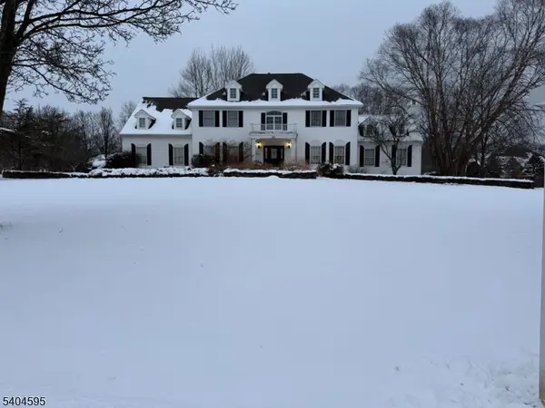 20 Northwood Dr, Alexandria Twp., NJ 08867