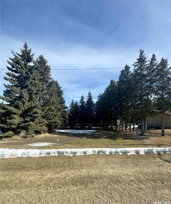 315 2nd STREET, Waldheim, SK S0K 4R0