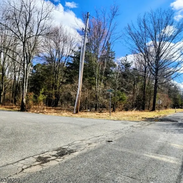 2 Shrope Ln, Kingwood Twp., NJ 08825