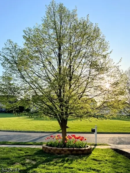 4 ELM DR, Clinton Twp., NJ 08809