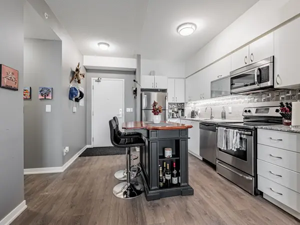 150 East Liberty ST N #3015, Toronto C01, ON M6K 3R5