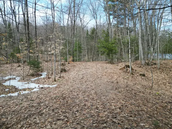 1231 Big Hawk Lake RD, Algonquin Highlands, ON K0M 1J2