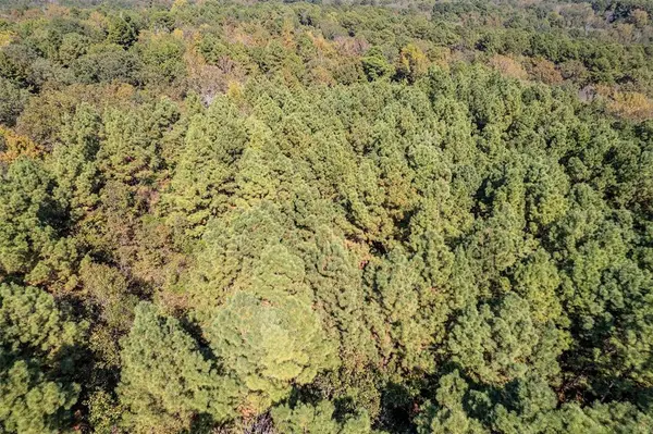 0 CR 359, Winona, TX 75792