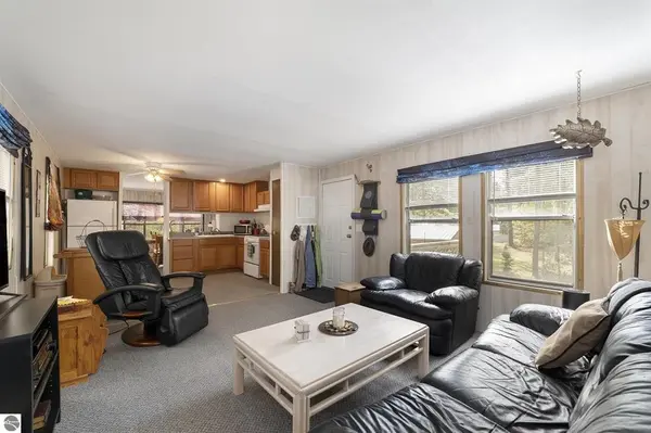 377 E Bear Lake RD, Bear Lake Twp, MI 49646