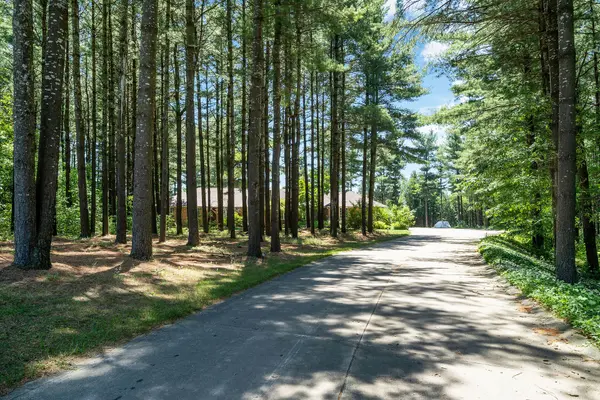 41 Pine Ridge RD, Erin, ON N0B 1T0