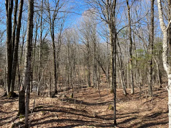 1270 Old Donald RD, Dysart Et Al, ON K0M 1S0