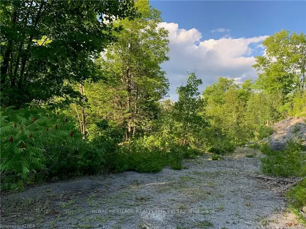 0 PT LT 32 COUNTY ROAD 49 RD, Trent Lakes, ON K0M 1A0