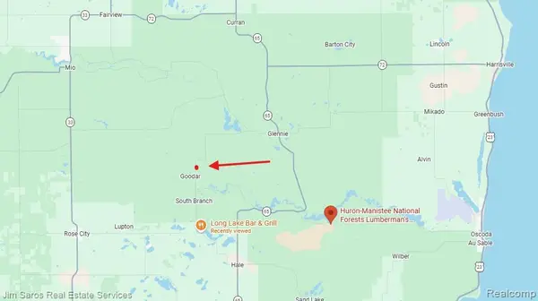 4771 E County Line RD, Curtis Township, MI 48761