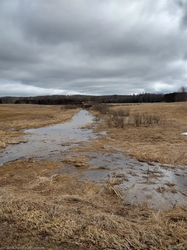 4771 E County Line RD, Curtis Township, MI 48761