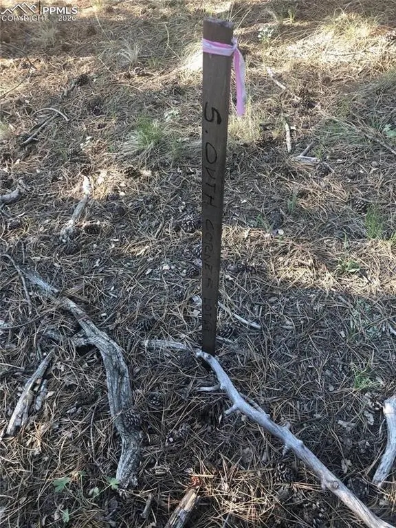 469 Echo Lake DR, Lake George, CO 80827