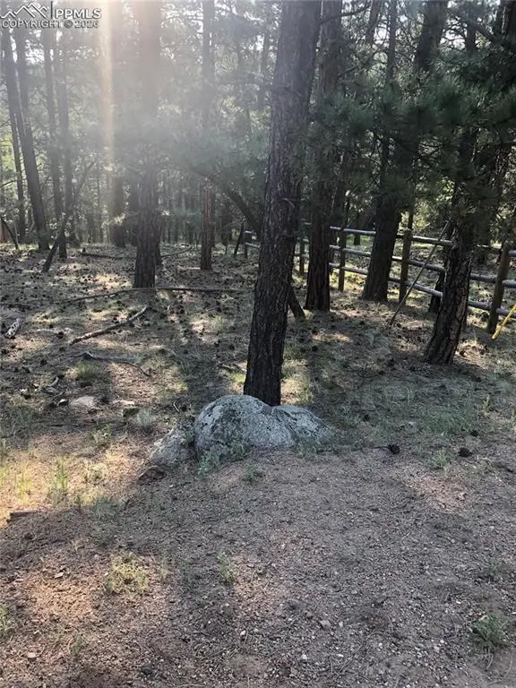 469 Echo Lake DR, Lake George, CO 80827