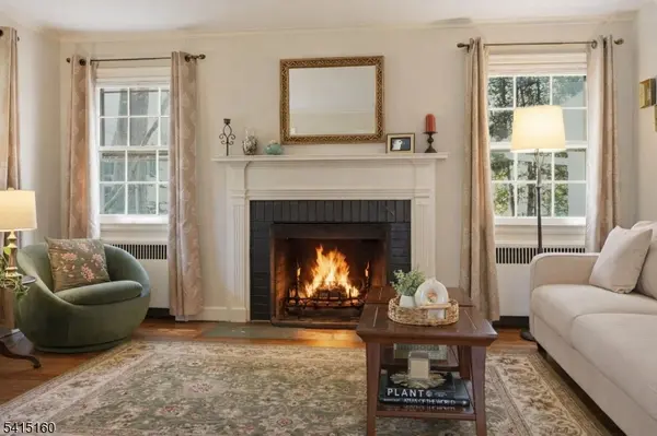 33 Hoyt St, Madison Boro, NJ 07940