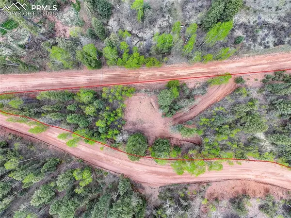 416 Willow RD, Divide, CO 80814