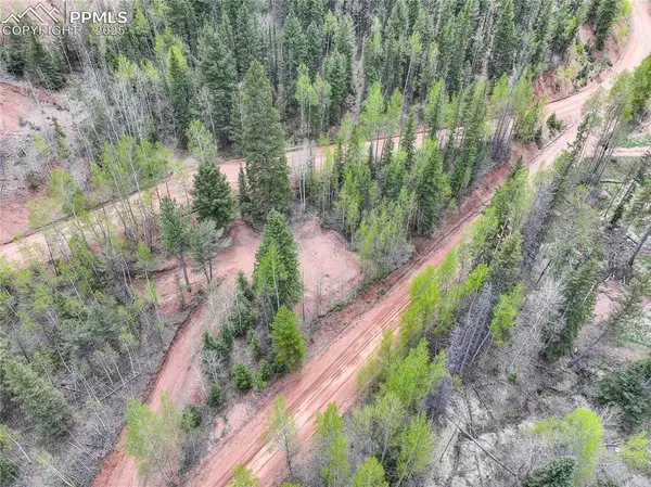 416 Willow RD, Divide, CO 80814