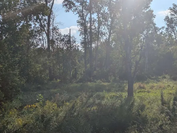 N/A Andrews RD, Whitney Twp, MI 48763