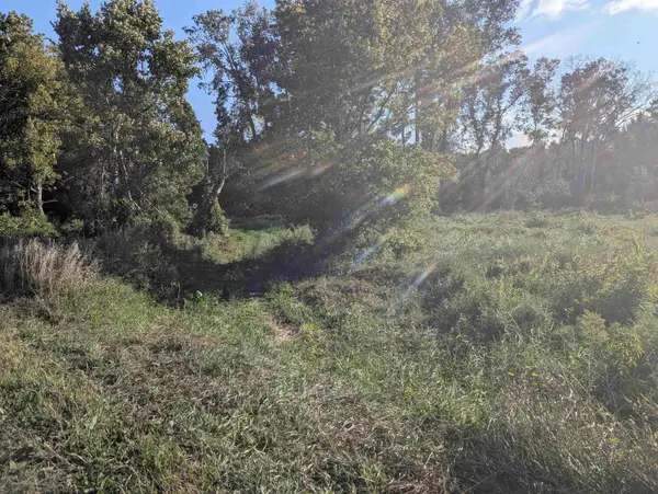 N/A Andrews RD, Whitney Twp, MI 48763