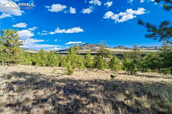 455 County Road 132, Guffey, CO 80820