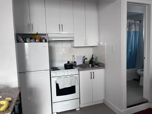 96 Springhurst AVE #3, Toronto W01, ON M6K 1C1