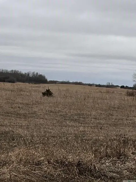 Rural Address, Montrose Rm No. 315, SK S0L 0P0