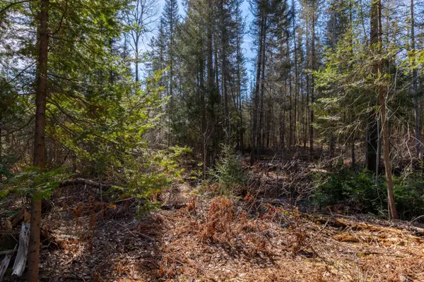 144 Lavigne RD, East Ferris, ON P0H 1K0