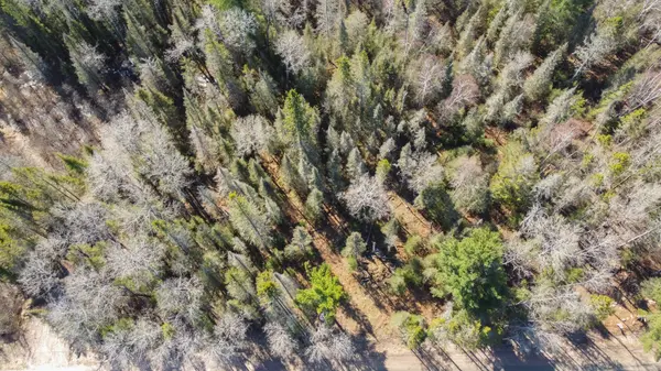 144 Lavigne RD, East Ferris, ON P0H 1K0