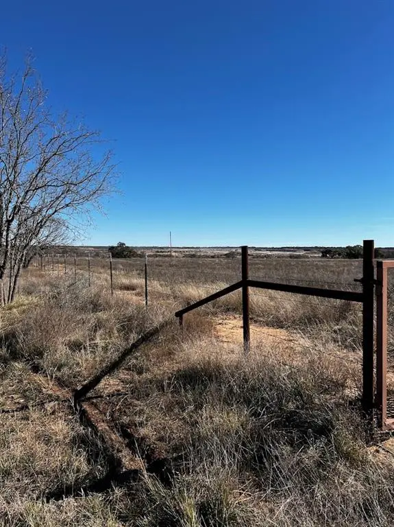 TBD County Road 235, Brownwood, TX 76801