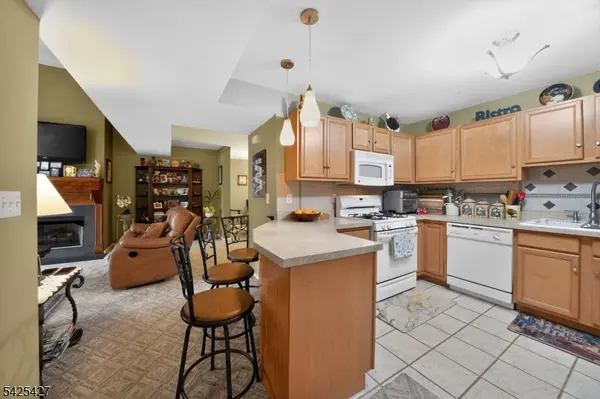 167 Falcon Ridge Way, Hamburg Boro, NJ 07419