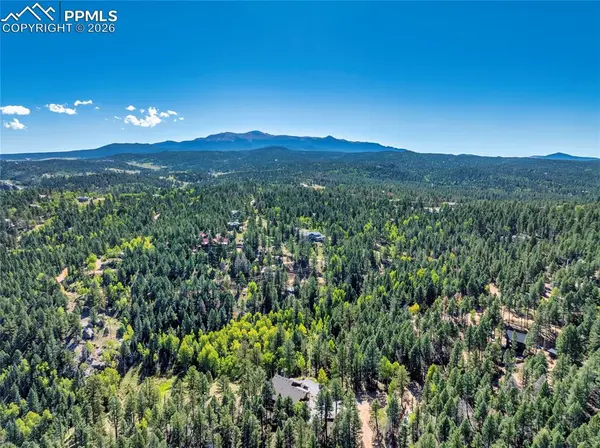 80 Feldspar RD, Florissant, CO 80816