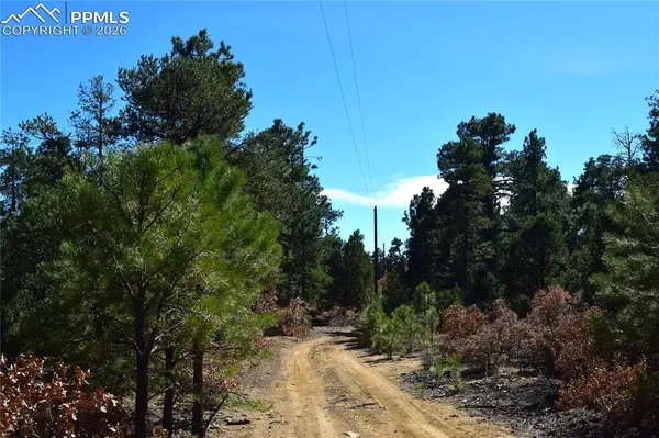 000 Ponderosa TRL, Trinidad, CO 81082